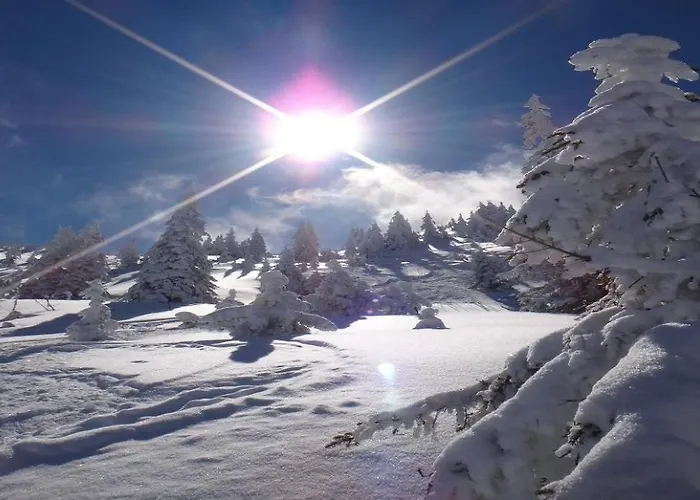 別荘 Pengelstein By Managers