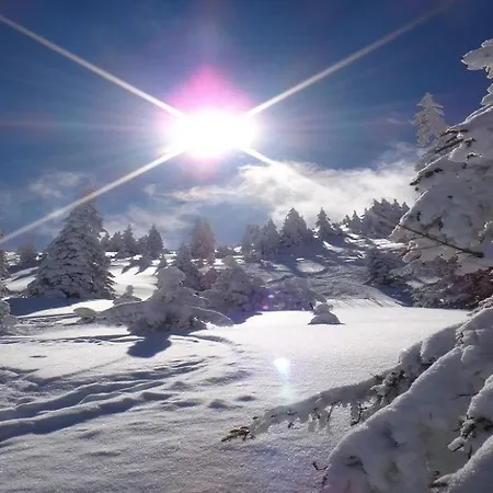 Semesterbostad Pengelstein By Managers